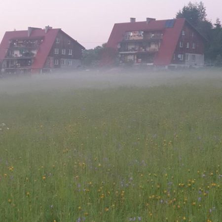 Apartament Wrzos Bieszczady Czarna  Eksteriør bilde