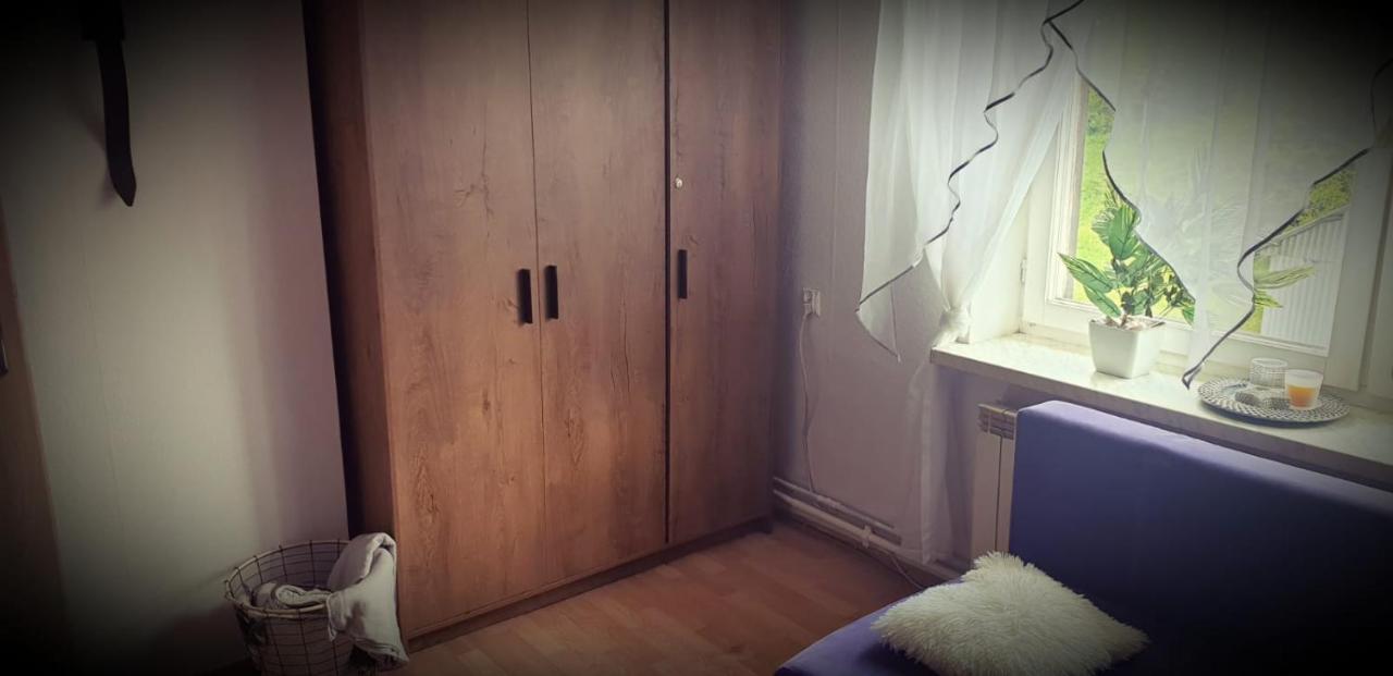 Apartament Wrzos Bieszczady Czarna  Eksteriør bilde