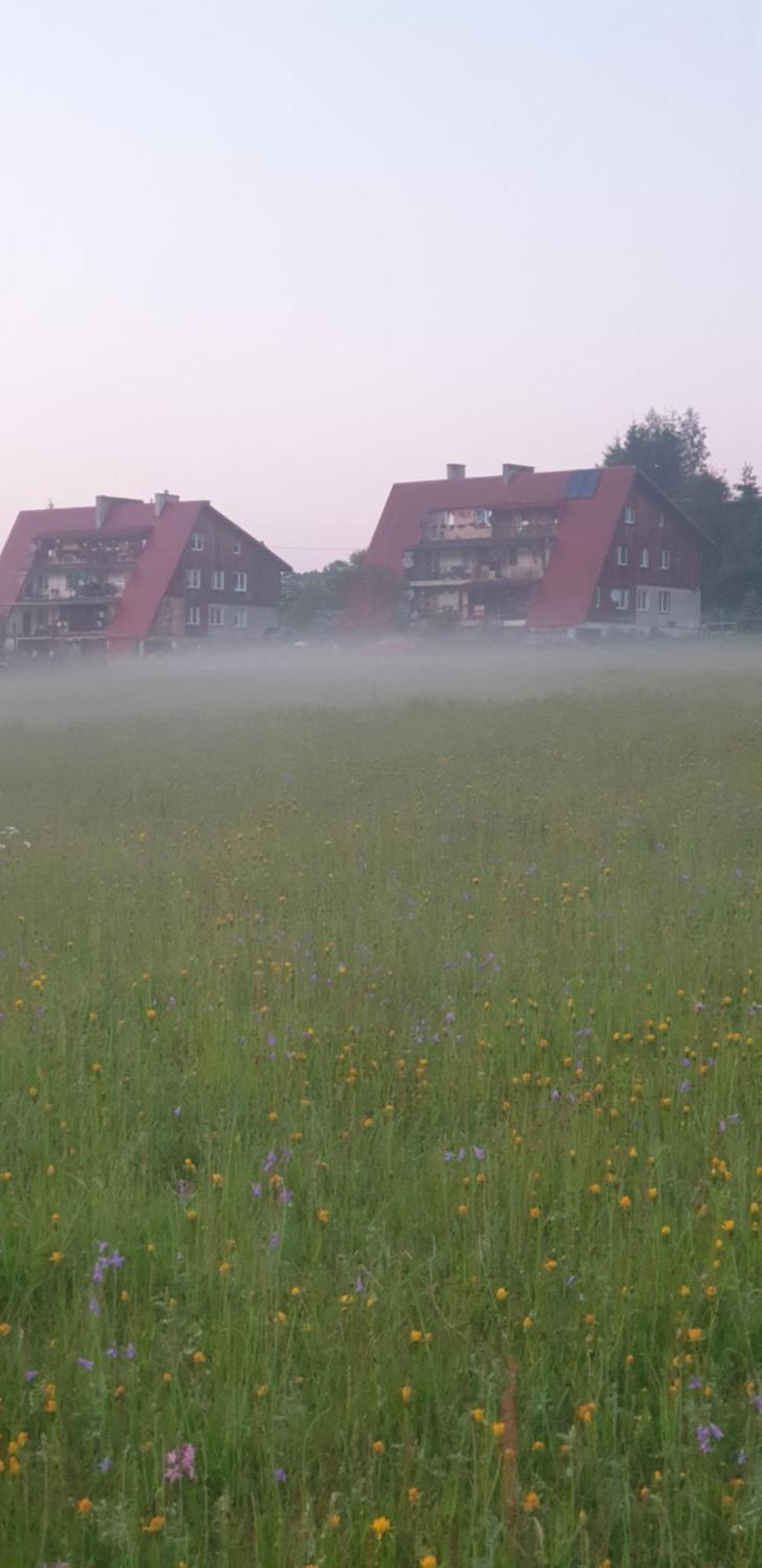 Apartament Wrzos Bieszczady Czarna  Eksteriør bilde